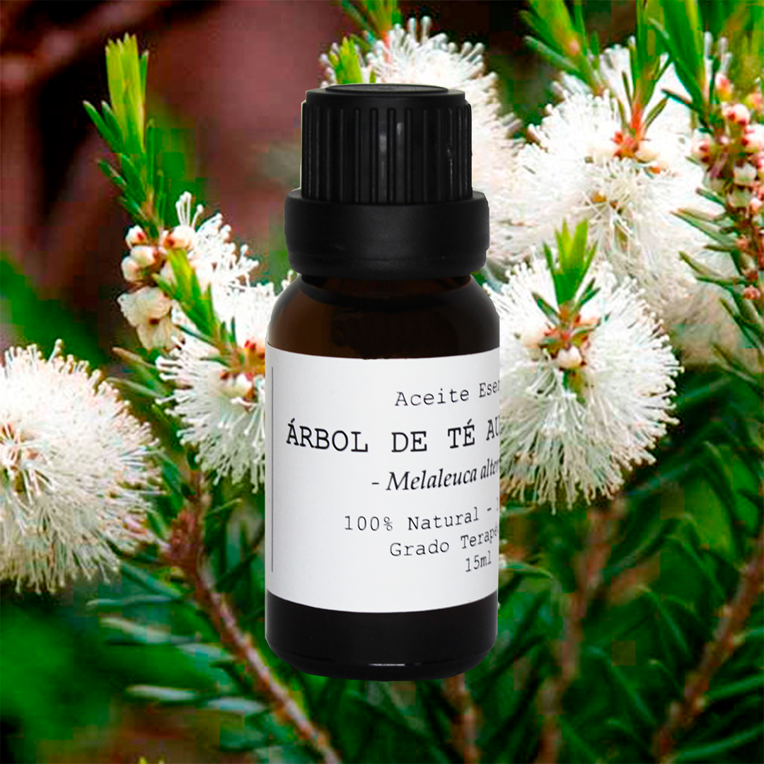 ACEITE ESENCIAL ÁRBOL DE TÉ AUSTRALIANO