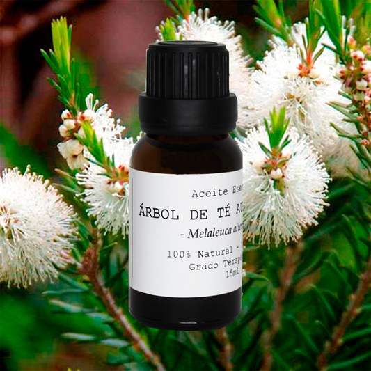 ACEITE ESENCIAL ÁRBOL DE TÉ AUSTRALIANO