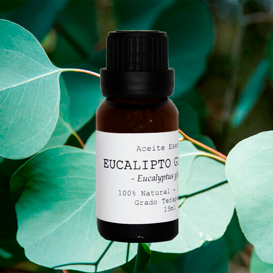ACEITE ESENCIAL EUCALIPTO GLOBULUS