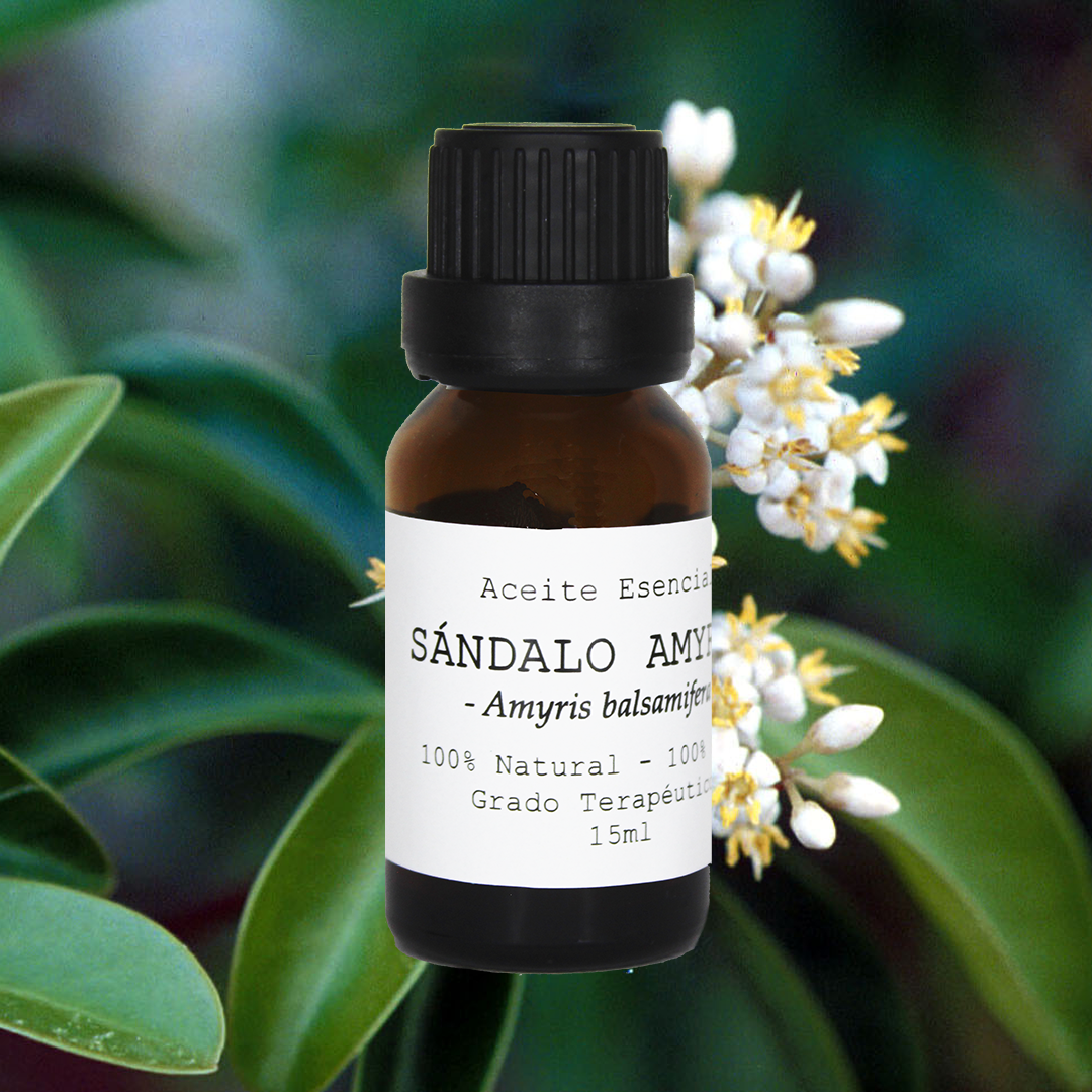 ACEITE ESENCIAL SÁNDALO AMYRIS