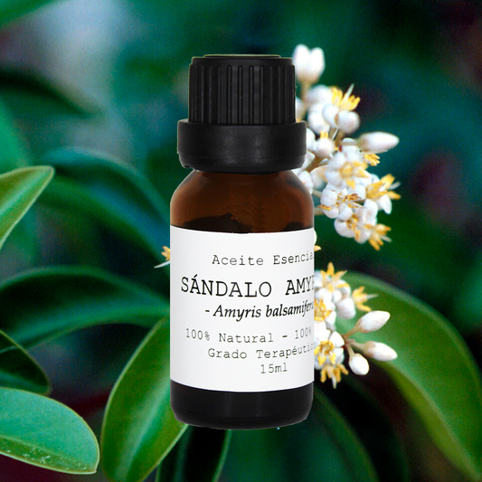 ACEITE ESENCIAL SÁNDALO AMYRIS