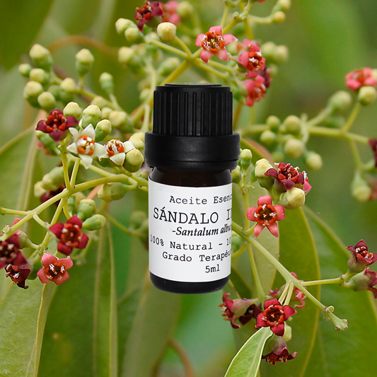 ACEITE ESENCIAL SÁNDALO INDIA